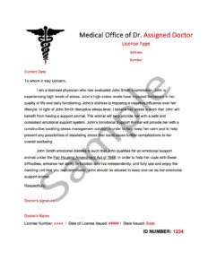 Doctor Letter